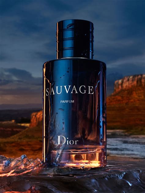 dior souvage parfum